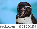 Penguin up 99320159