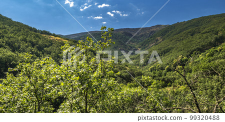 Valle del Jerte, Spain Valle del Jerte, Spain 99320488