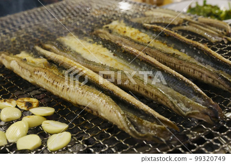 鰻魚 鰻魚 99320749