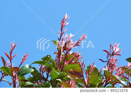 Kaname memo (required) 99321876