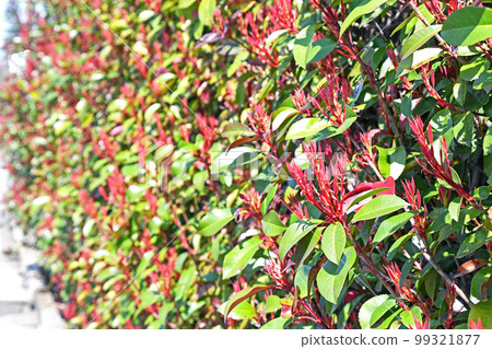 Kaname memo (required) 99321877