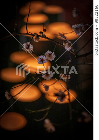 Yamaga City's night event, a winter tradition Yamaga City's night event, a winter tradition 99322166