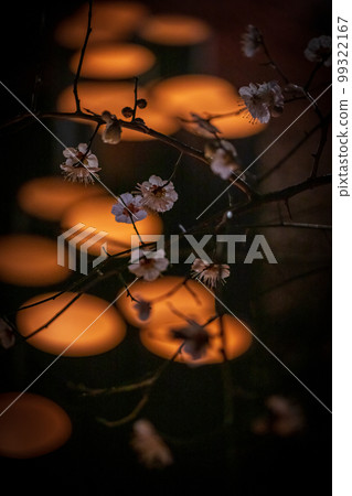 Yamaga City's night event, a winter tradition Yamaga City's night event, a winter tradition 99322167