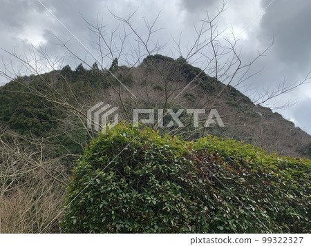 Shimane Prefecture/Goka/Mountains 99322327
