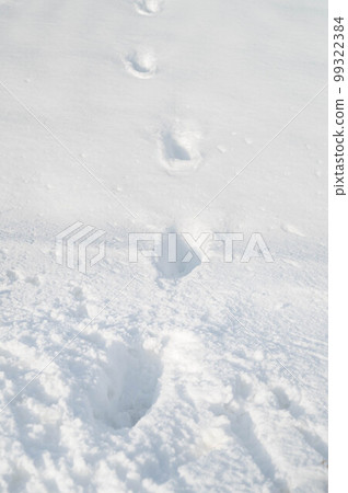 一個下雪天的腳印 99322384