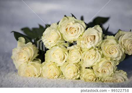 A bouquet of beautiful roses lies on the snow. A bouquet of beautiful roses lies on the snow. 99322758