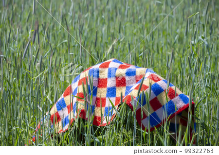 On the green meadow grass lies a blanket in a cage. Preparing for a picnic or outdoor recreation. Spread a blanket in the meadow. On the green meadow grass lies a blanket in a cage. Preparing for a picnic or outdoor recreation. Spread a blanket in the meadow. 99322763
