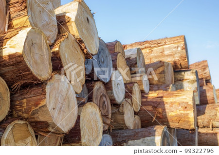 堆積的木頭 99322796