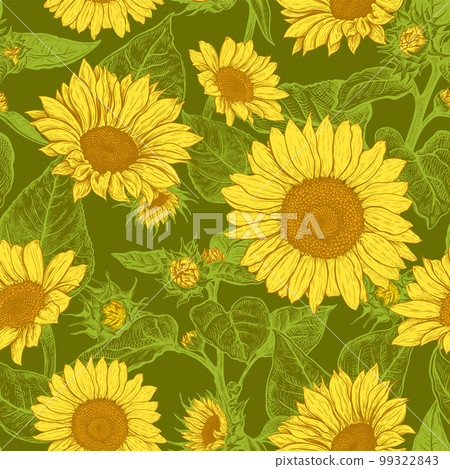 Seamless pattern with Sunflower 8 99322843