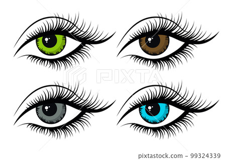 Women's eyes, icons set. The eyes are blue, green, brown and gray. Illustration, vector 99324339