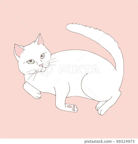Cute white cat posing on pastel pink background. Hand drawn cat. Sketch. Vector art 99324973