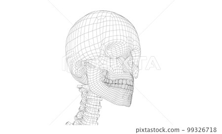 Human skeleton. 3d illustration Human skeleton. 3d illustration 99326718