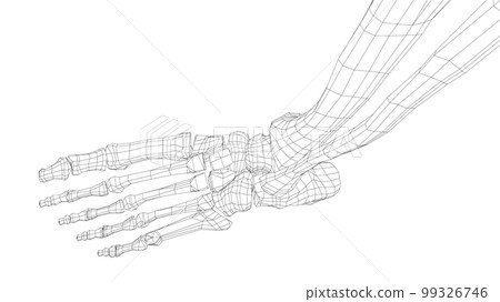 Human skeleton. 3d illustration Human skeleton. 3d illustration 99326746