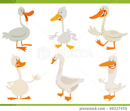 cartoon funny geese farm animal characters set 99327459