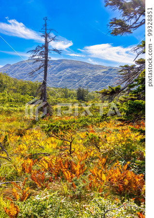 Shinsennuma (September, Hokkaido, sunny weather) 99328851