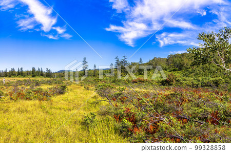 新仙沼（九月，北海道，晴天） 99328858