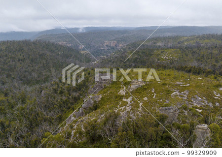 Aerial photograph of bushfire affected trees in the Blue Mountains 99329909