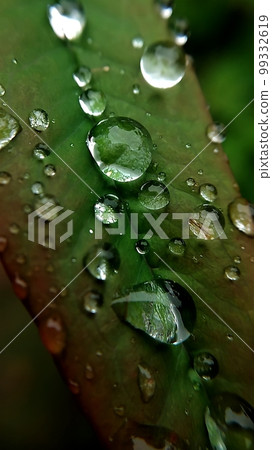 南方的天空在雨中濕透了 99332619