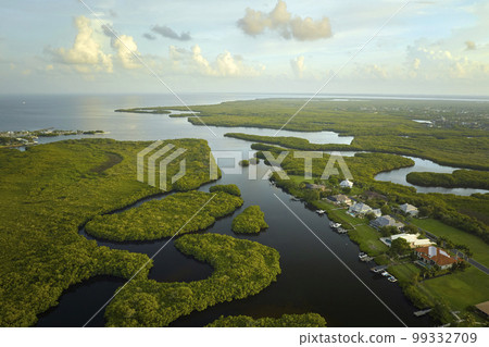 Aerial view of rural private houses in remote suburbs located near Florida wildlife wetlands with green vegetation on sea bay shore. Living close to nature concept Aerial view of rural private houses in remote suburbs located near Florida wildlife wetlands with green vegetation on sea bay shore. Living close to nature concept 99332709