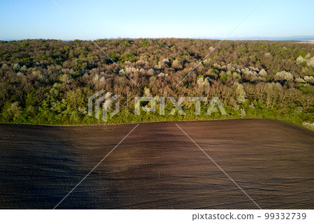 Aerial view of plowed agricultural fields with cultivated fertile soil prepared for planting crops between green woods in spring 99332739