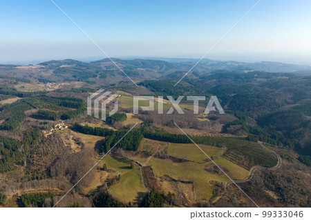 Aerial view of pine forest with large area of cut down trees as result of global deforestation industry. Harmful human influence on world ecology 99333046