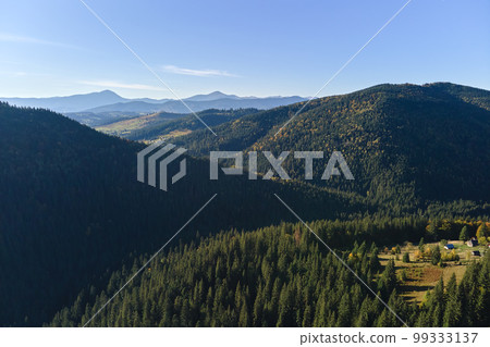 Aerial view of hillside with dark spruce forest trees at fall bright day. Beautiful scenery of wild mountain woodland 99333137