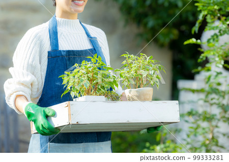 gardening gardening 99333281
