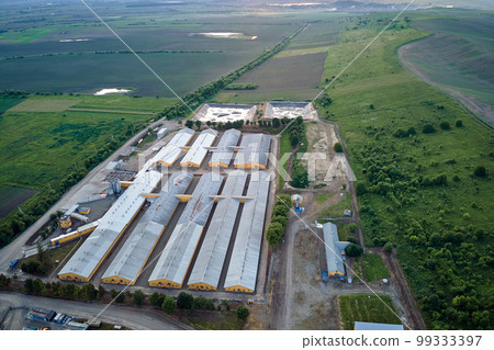 Aerial view of cattle farm buildings between green farmlands Aerial view of cattle farm buildings between green farmlands 99333397