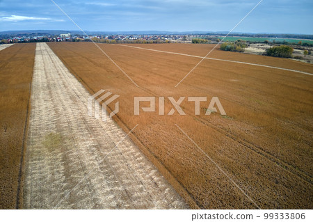 Aerial landscape view of yellow cultivated agricultural field with ripe wheat on bright summer day 99333806