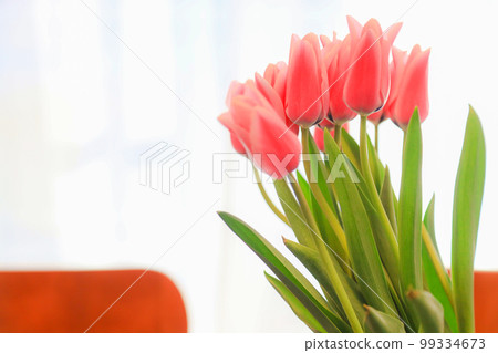 Tulips displayed in the room 99334673