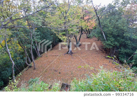 從本丸看到的坂木國芳城蓮閣來輪群 從本丸看到的坂木國芳城蓮閣來輪群 99334716