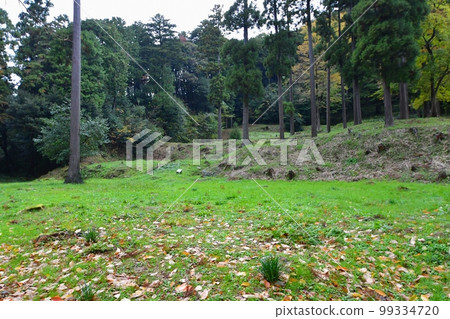 Sakikuniyoshi Castle Castle Ruins 99334720