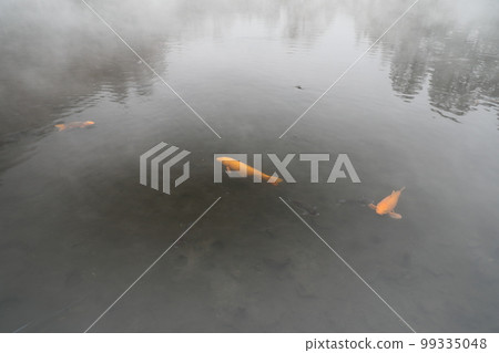 Golden Lake 99335048