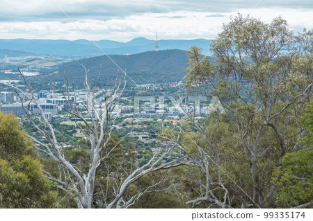 Photograph of a large telecommunications tower on a hill Photograph of a large telecommunications tower on a hill 99335174