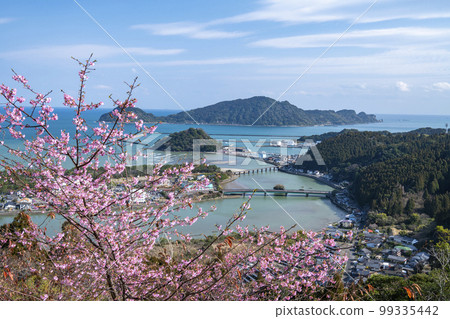 日南市南鄉城蹟的河津櫻花 日南市南鄉城蹟的河津櫻花 99335442