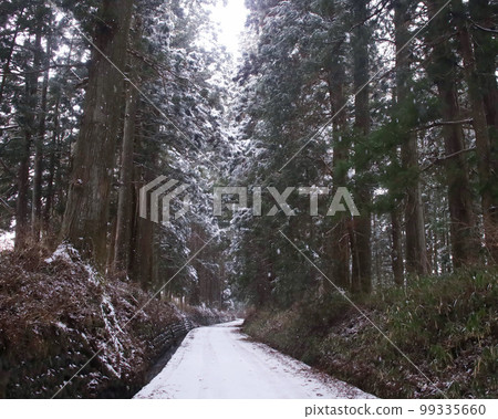 Nikko City, Nikko Kaido Suginami Trees in Snow Nikko City, Nikko Kaido Suginami Trees in Snow 99335660