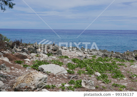 Peleliu (or Beliliou) is an island in the island nation of Palau. Peleliu, along with two small islands to its northeast, forms one of the sixteen states of Palau. The island is notable as the locatio Peleliu (or Beliliou) is an island in the island nation of Palau. Peleliu, along with two small islands to its northeast, forms one of the sixteen states of Palau. The island is notable as the locatio 99336137