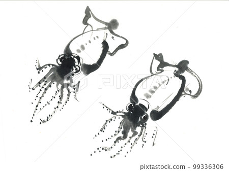 Illustration: Firefly squid Illustration: Firefly squid 99336306