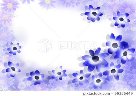 瓜葉菊 (cineraria) 框架 99336449