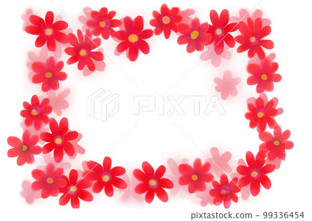 瓜葉菊 (cineraria) 紅框 瓜葉菊 (cineraria) 紅框 99336454