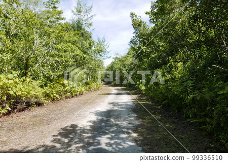 Peleliu (or Beliliou) is an island in the island nation of Palau. Peleliu, along with two small islands to its northeast, forms one of the sixteen states of Palau. The island is notable as the locatio Peleliu (or Beliliou) is an island in the island nation of Palau. Peleliu, along with two small islands to its northeast, forms one of the sixteen states of Palau. The island is notable as the locatio 99336510