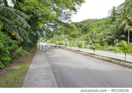 Peleliu (or Beliliou) is an island in the island nation of Palau. Peleliu, along with two small islands to its northeast, forms one of the sixteen states of Palau. The island is notable as the locatio Peleliu (or Beliliou) is an island in the island nation of Palau. Peleliu, along with two small islands to its northeast, forms one of the sixteen states of Palau. The island is notable as the locatio 99336656