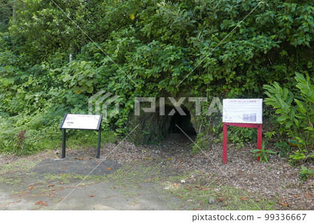 Peleliu (or Beliliou) is an island in the island nation of Palau. Peleliu, along with two small islands to its northeast, forms one of the sixteen states of Palau. The island is notable as the locatio Peleliu (or Beliliou) is an island in the island nation of Palau. Peleliu, along with two small islands to its northeast, forms one of the sixteen states of Palau. The island is notable as the locatio 99336667