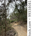 Mountain road 99338081