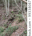 Mountain slope 99338087