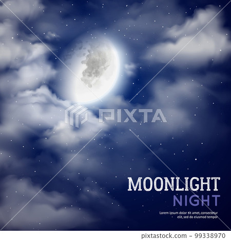 Moonlight night illustration Moonlight night illustration 99338970