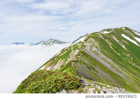 雪仁格山和雲海 99339023
