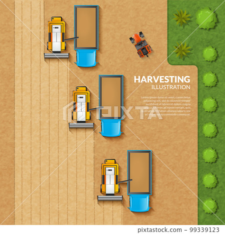 Harvesting top view illustration 99339123