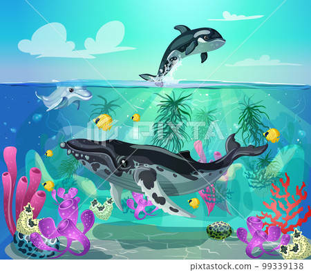 Cartoon Colorful Sea Life Background Cartoon Colorful Sea Life Background 99339138