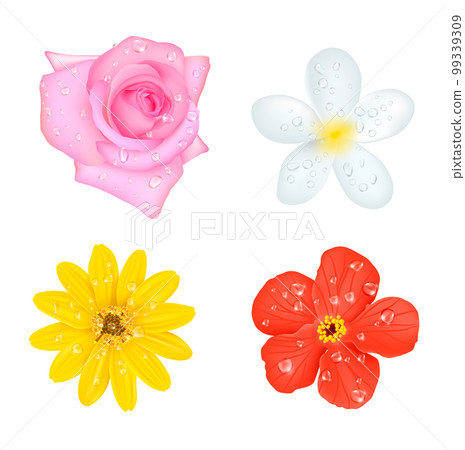 Four Flowers With Drops Set Four Flowers With Drops Set 99339309